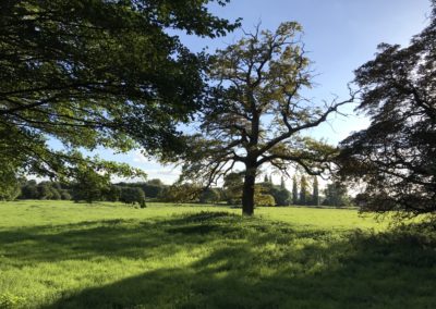 Starting Off in England