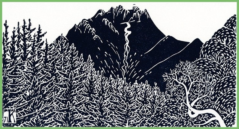 Dreaming Mill Valley novel by Christie Nelson